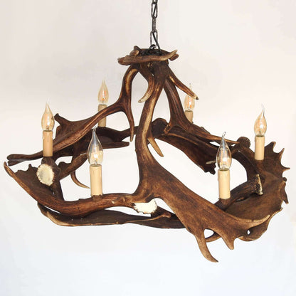 Fallow deer antler chandelier