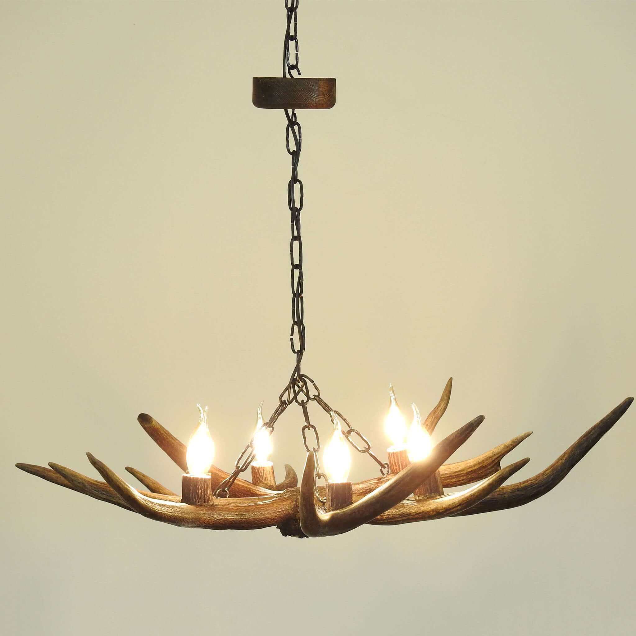Real 6 lights antler chandelier