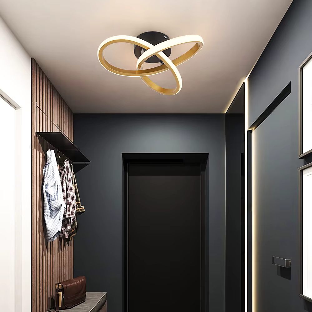 Twisted ring ceiling light