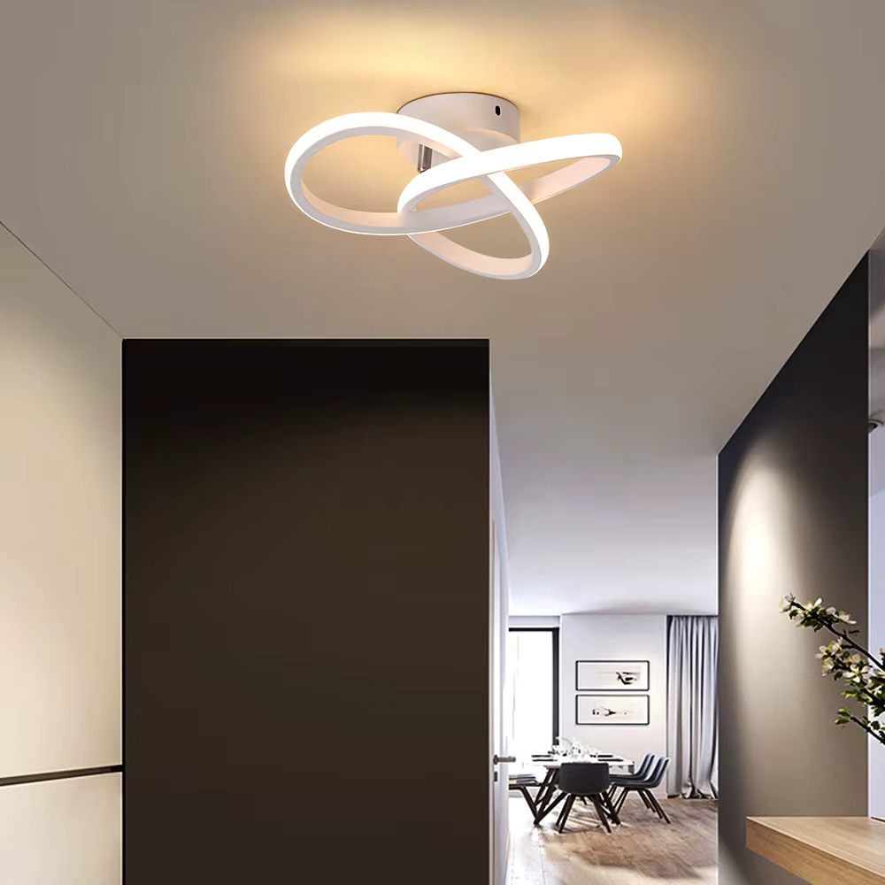 Twisted ring ceiling light