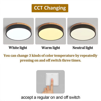 Circle surface ceiling light