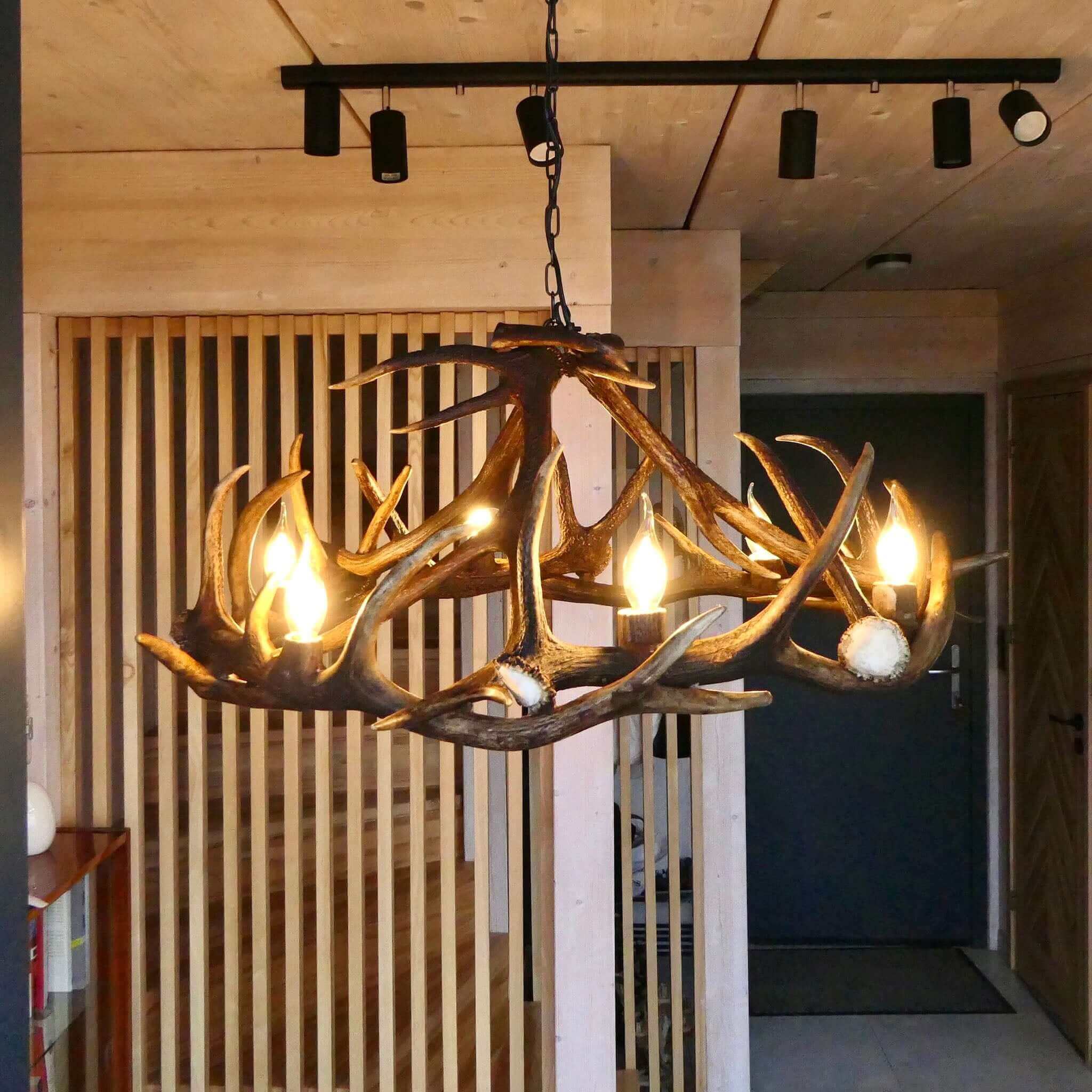 Real large deer antler chandelier