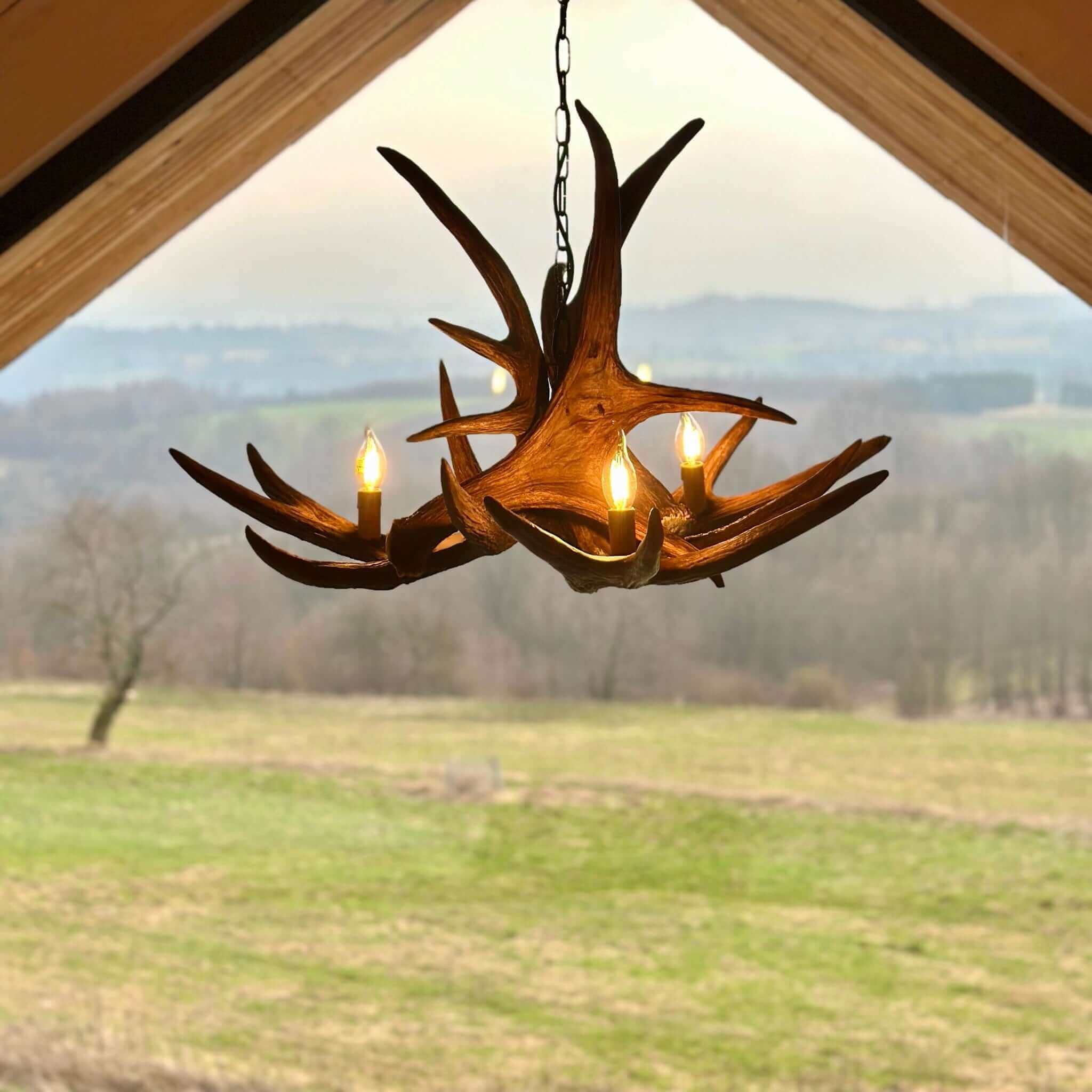 Real moose antler chandelier
