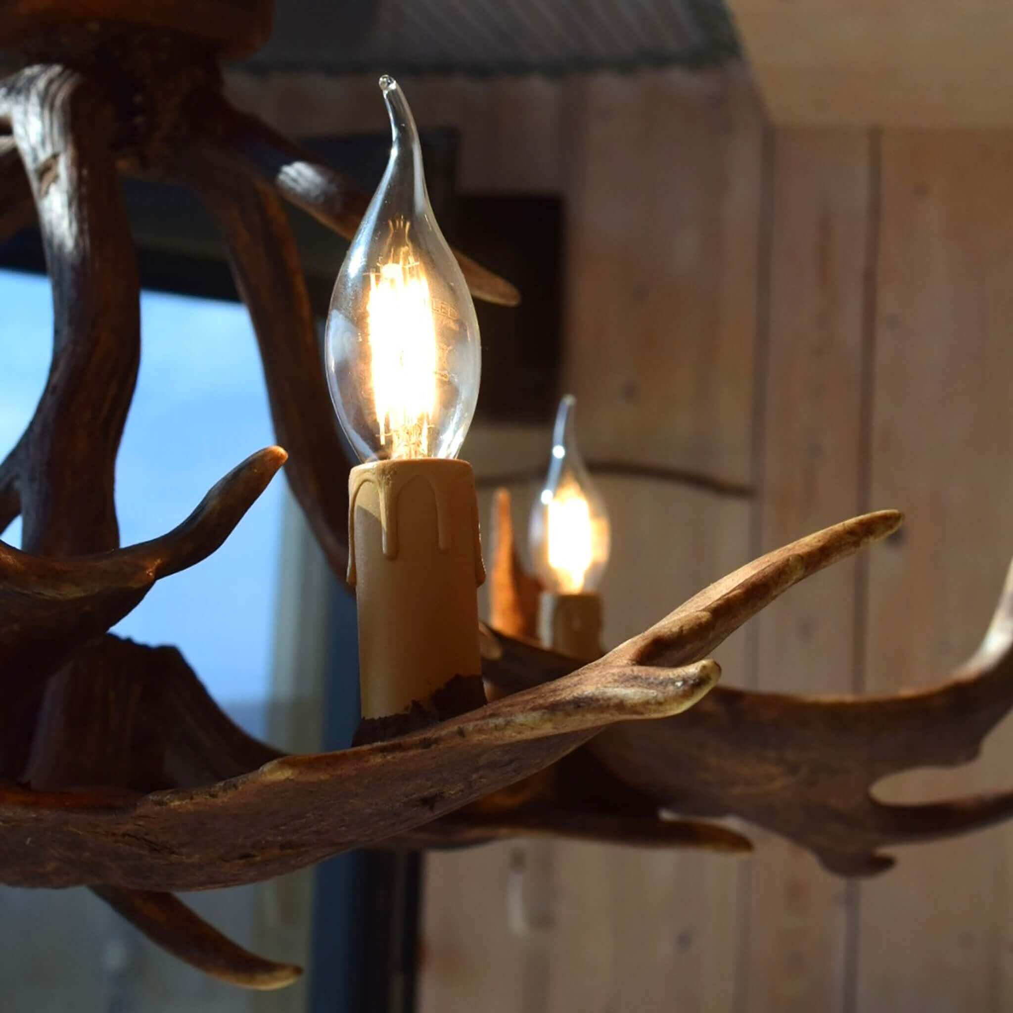 Real low ceiling antler chandelier