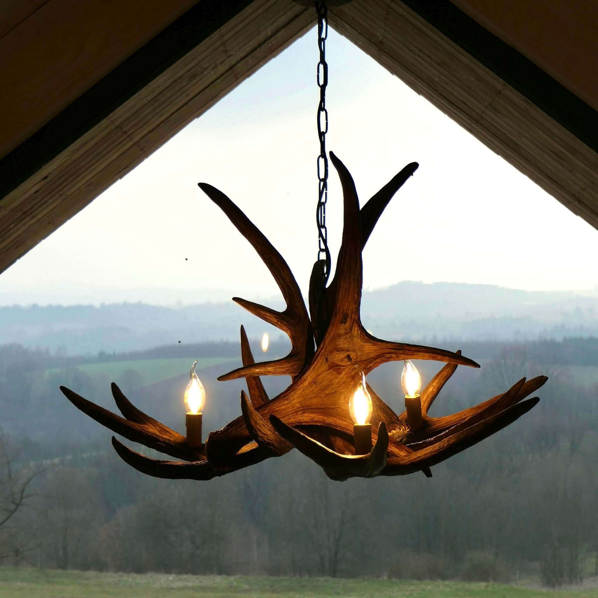Real moose antler chandelier