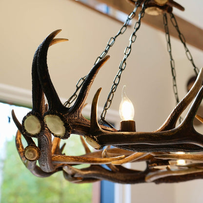 Ellipse antler chandelier
