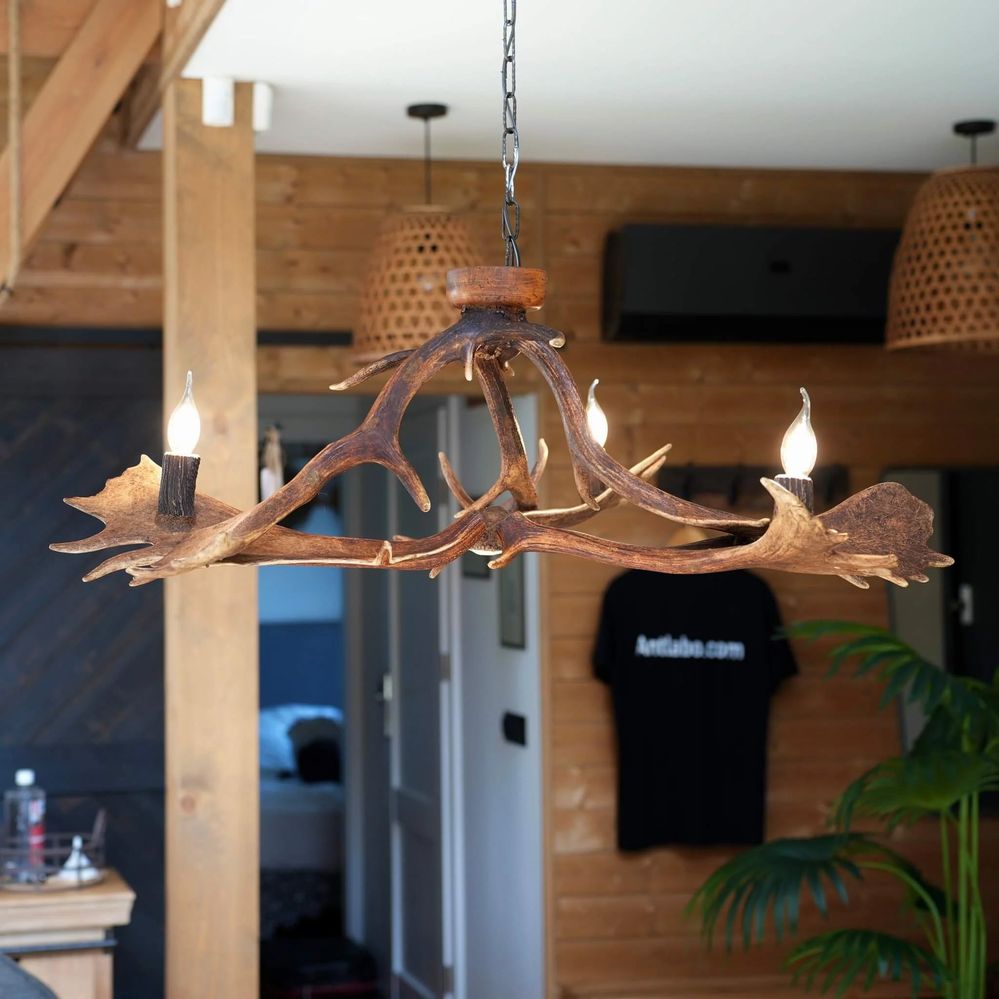 Real low ceiling antler chandelier with antler sockets