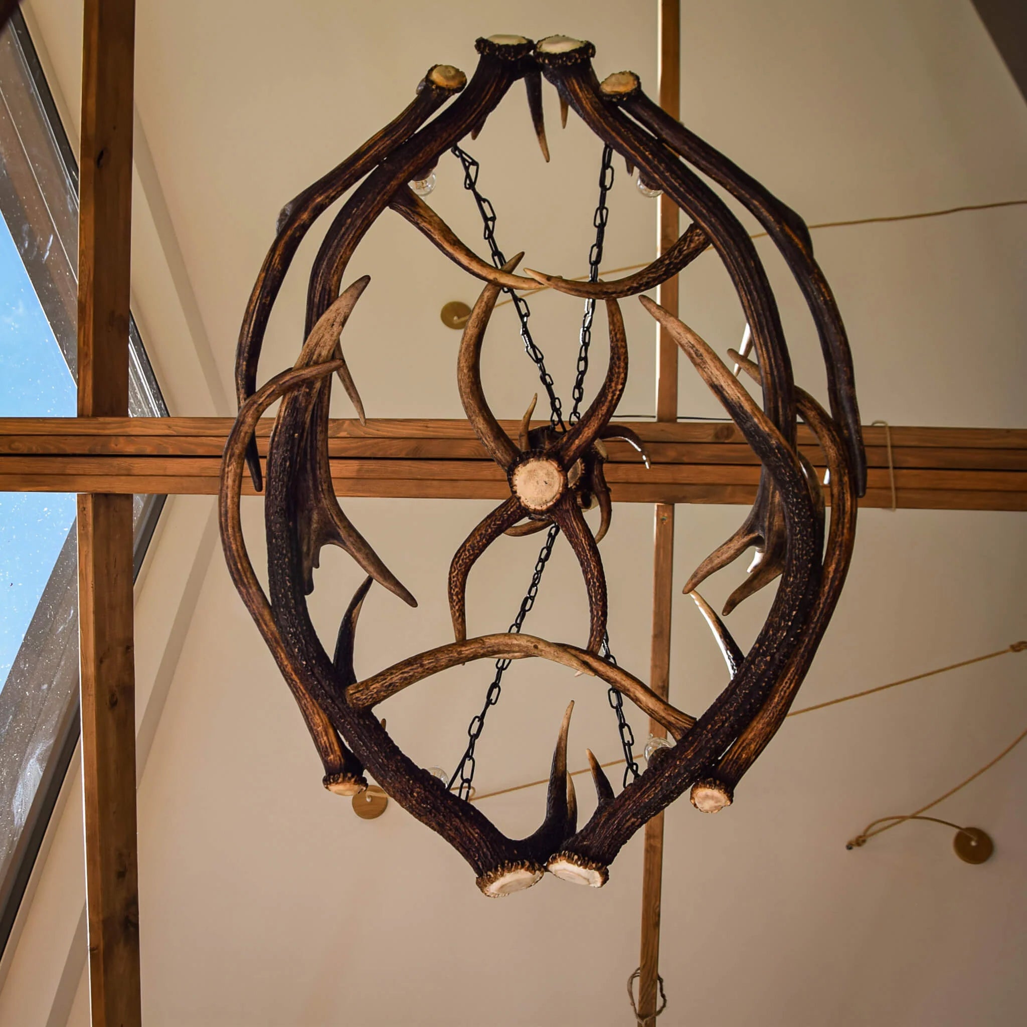 Ellipse antler chandelier