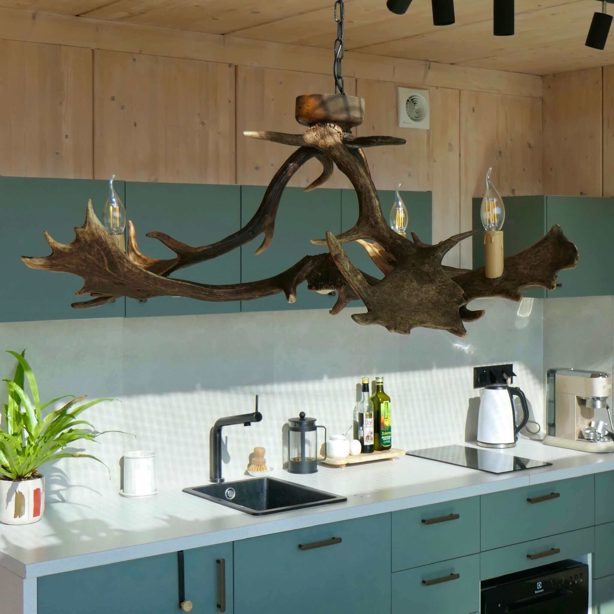 Real low ceiling antler chandelier