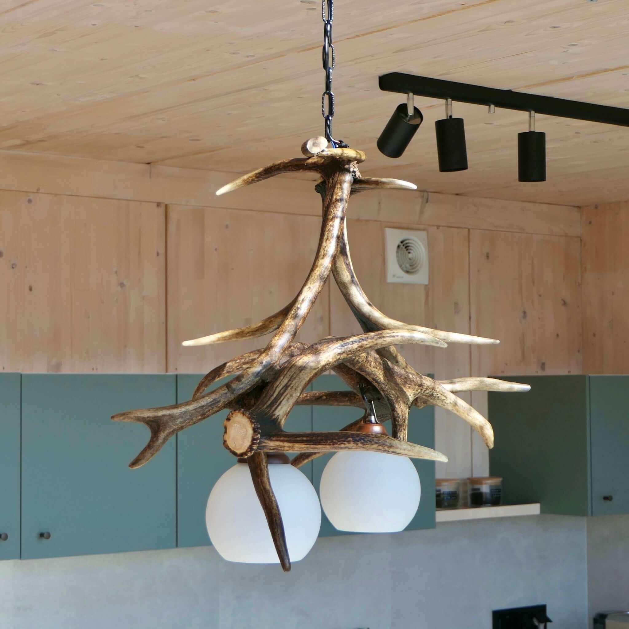 Real antler pendant lamp var.1