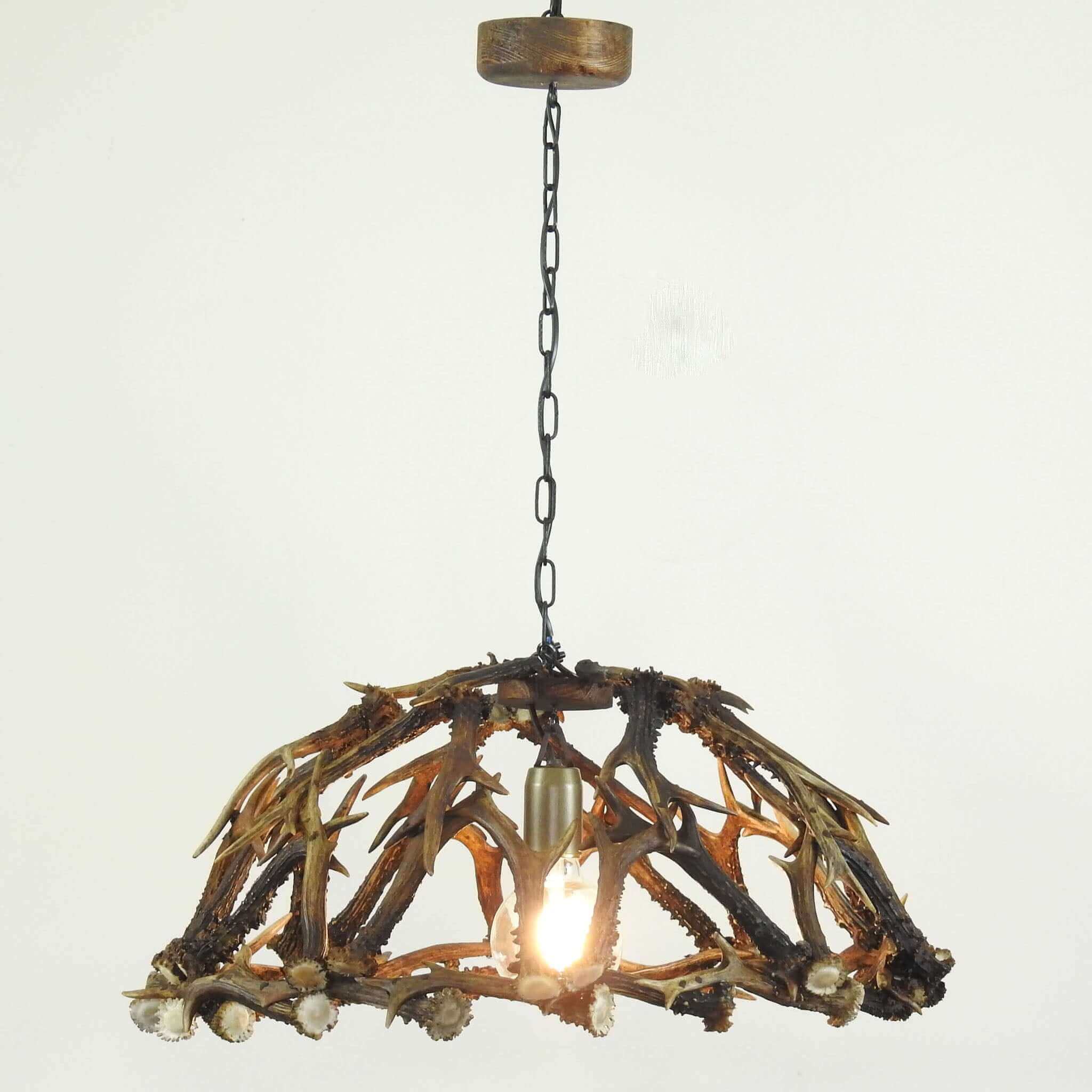 Real antler table ceiling lamp