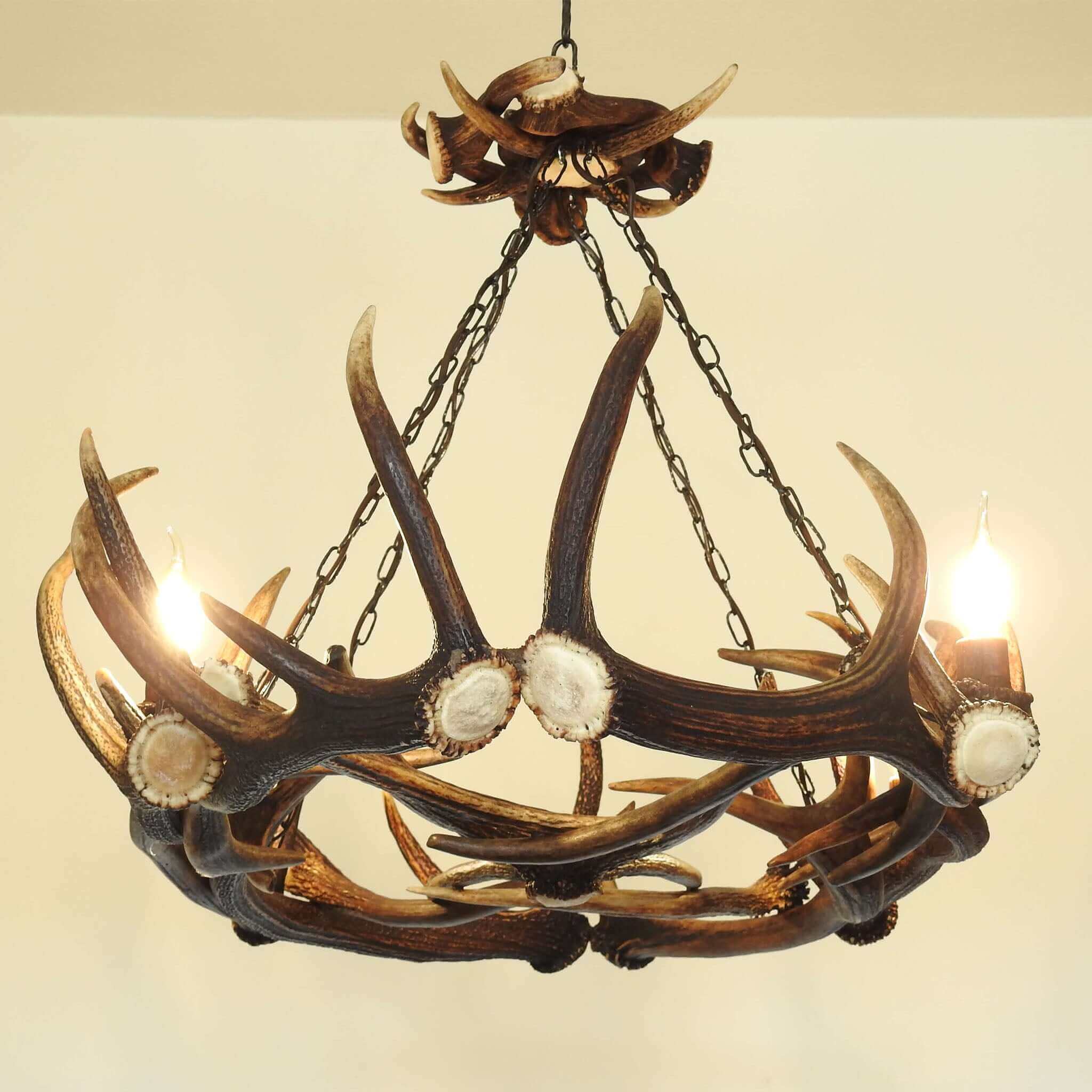 Ellipse antler chandelier
