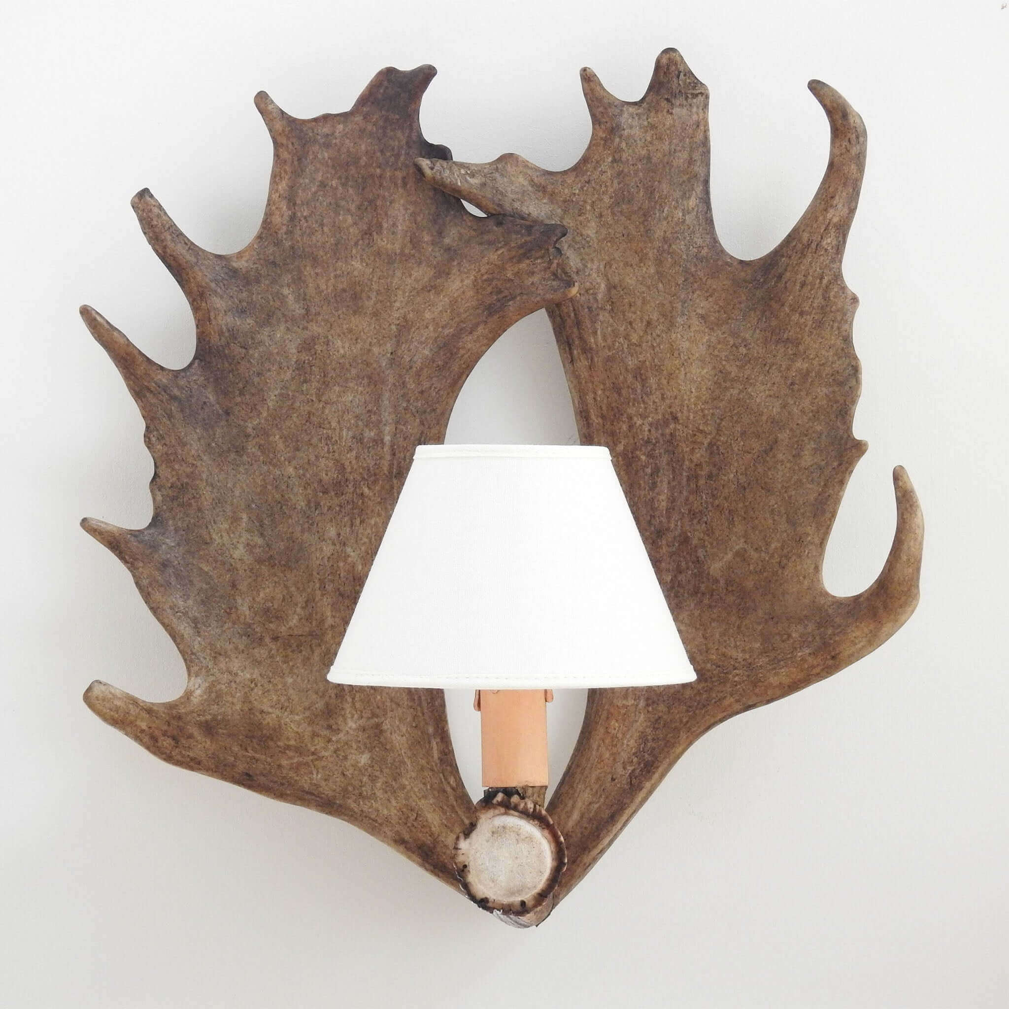 Fallow deer antler sconce with shades