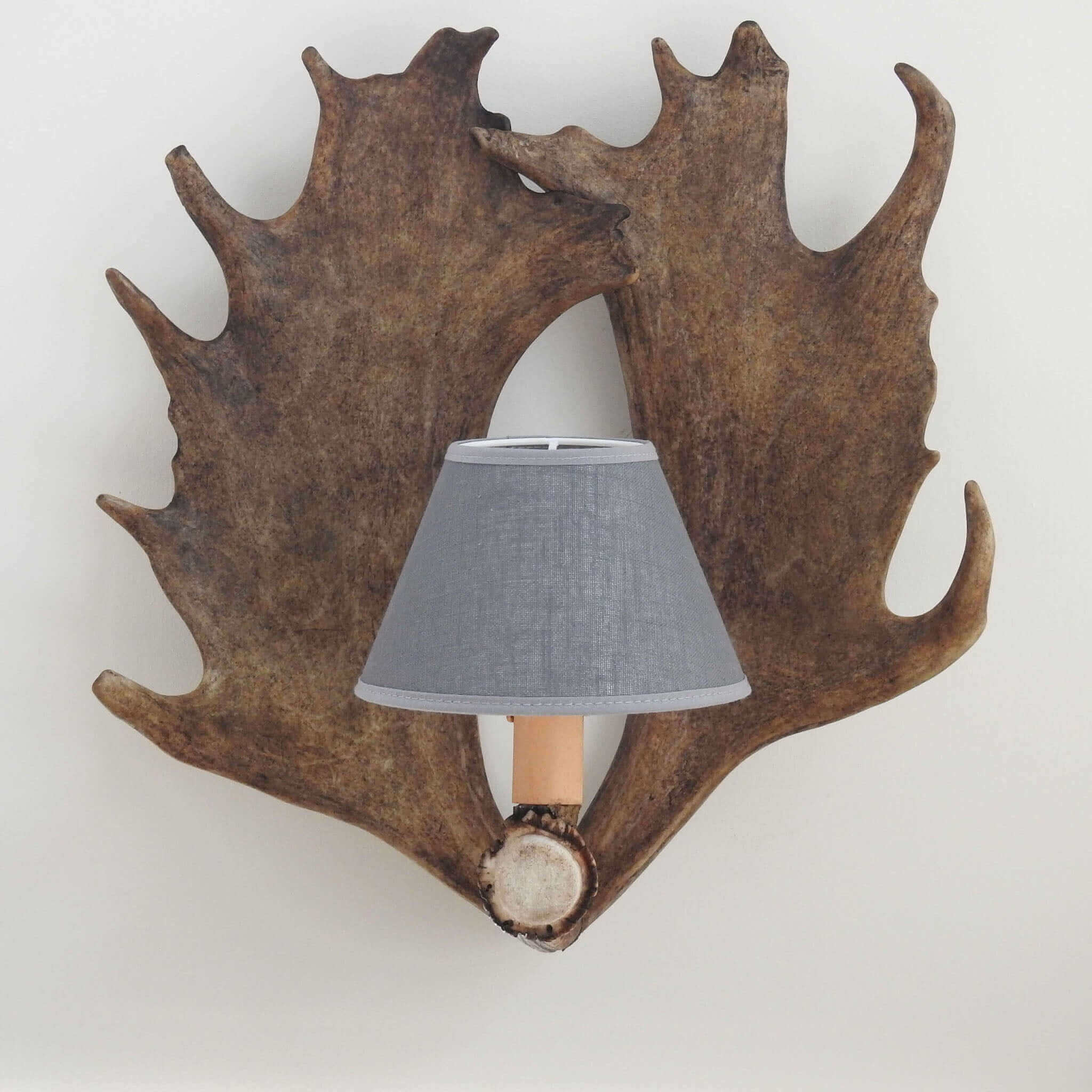 Fallow deer antler sconce with shades