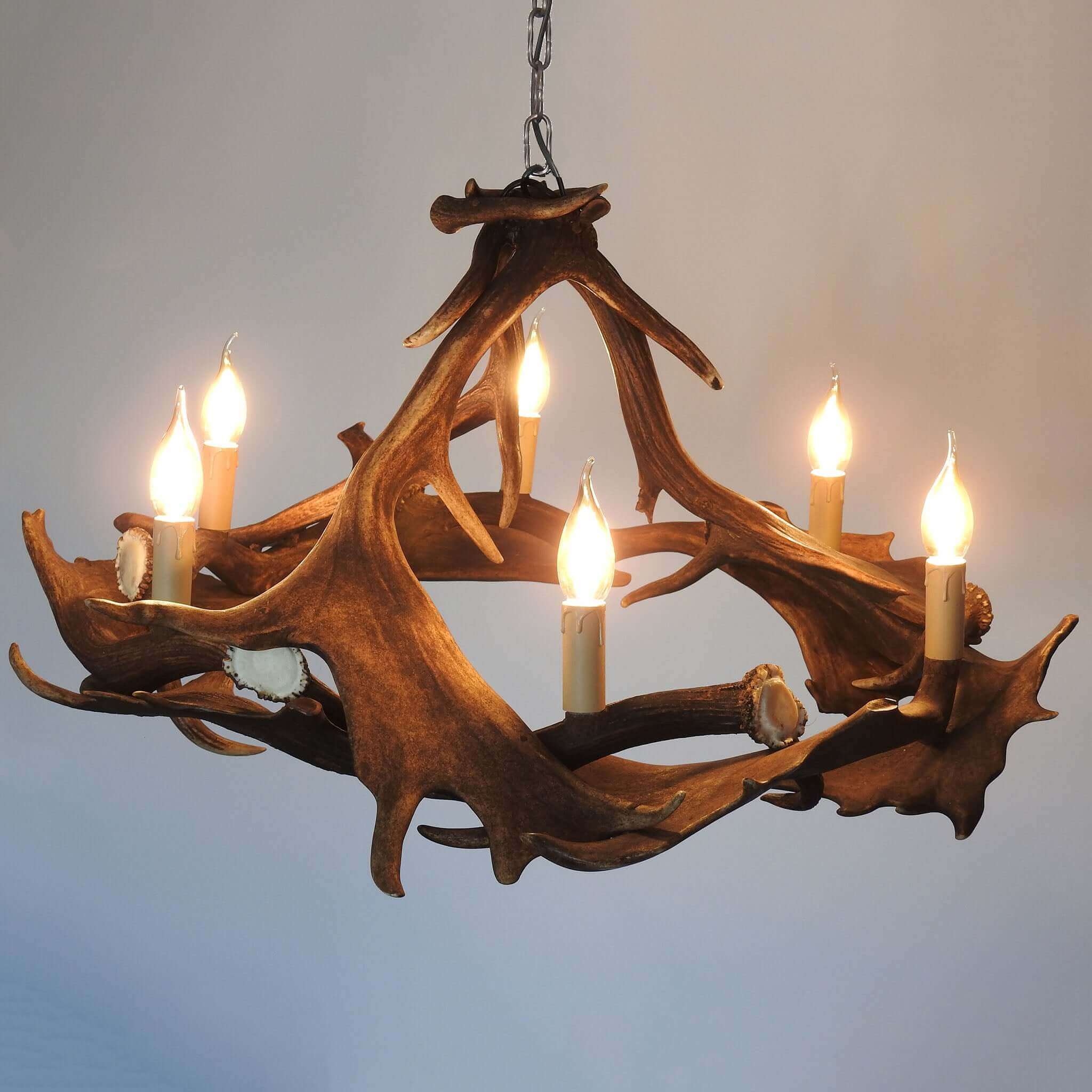 Fallow deer antler chandelier
