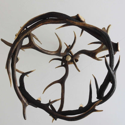 Real large deer antler chandelier