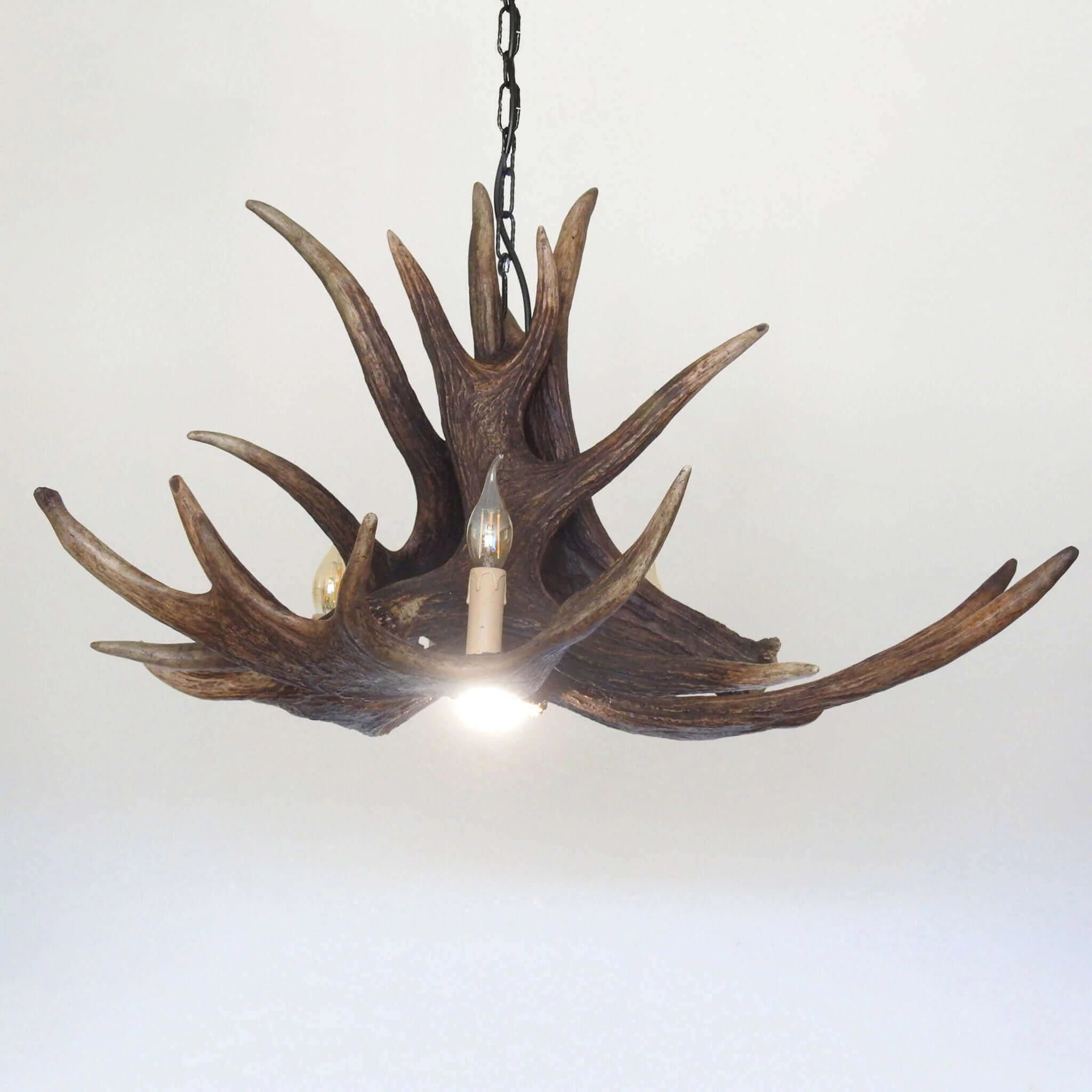 Real moose antler chandelier
