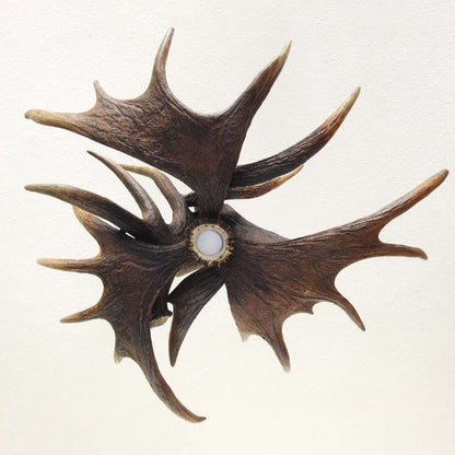 Real moose antler chandelier
