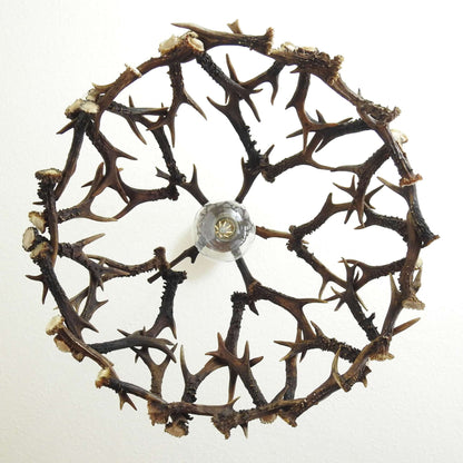 Real antler table ceiling lamp