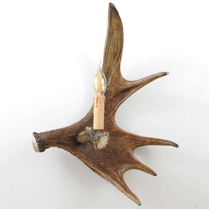 Real single moose sconce