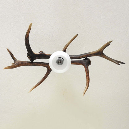 Real low ceiling antler lamp