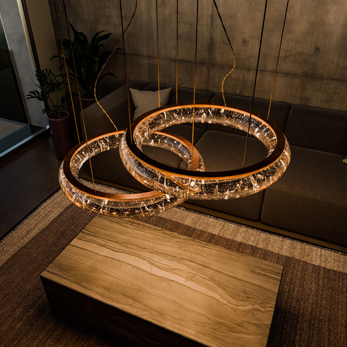 Pendant light torus