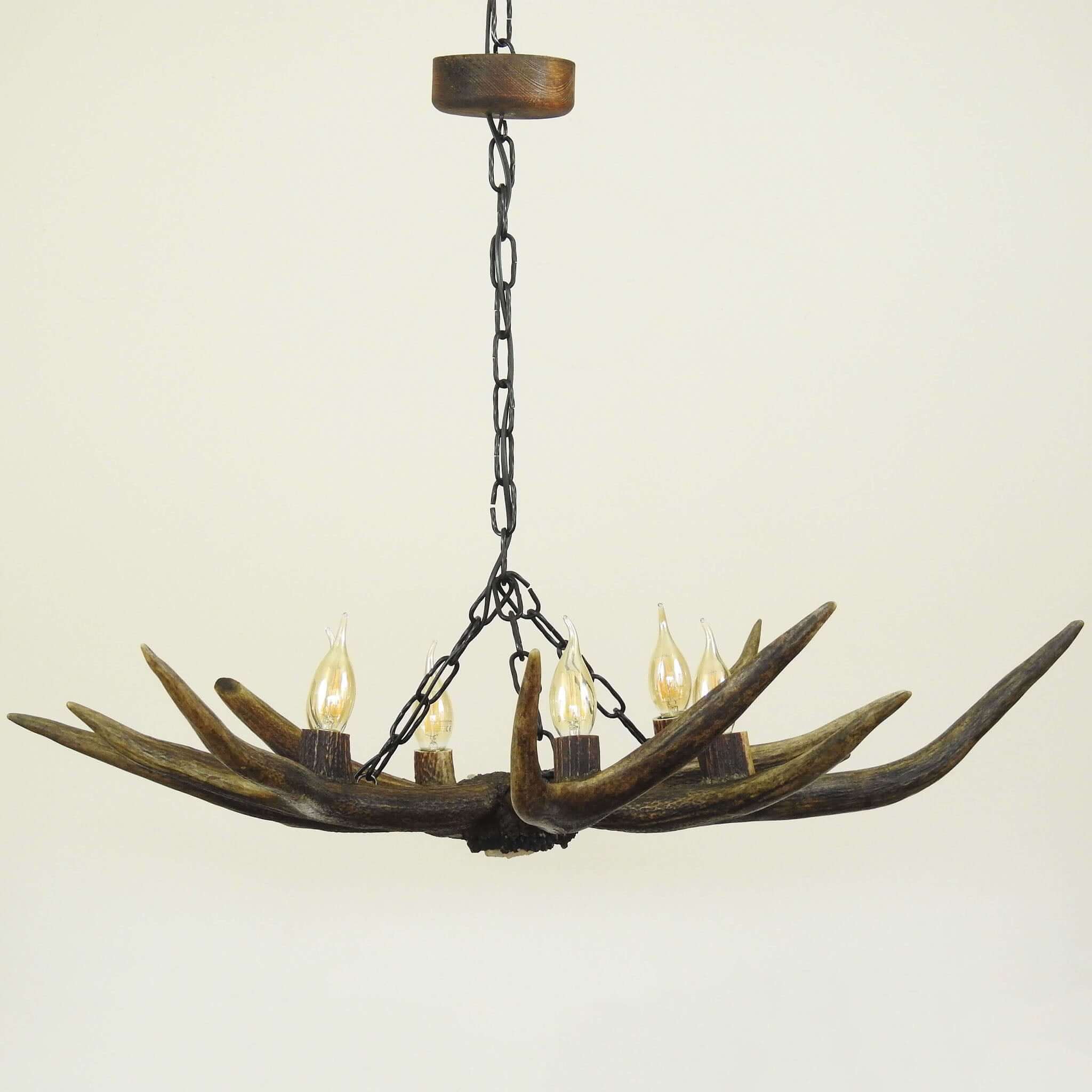 Real 6 lights antler chandelier