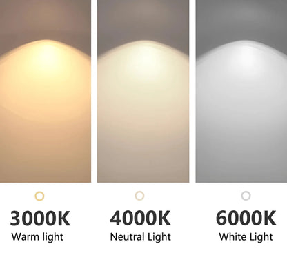 Panorama pendant light