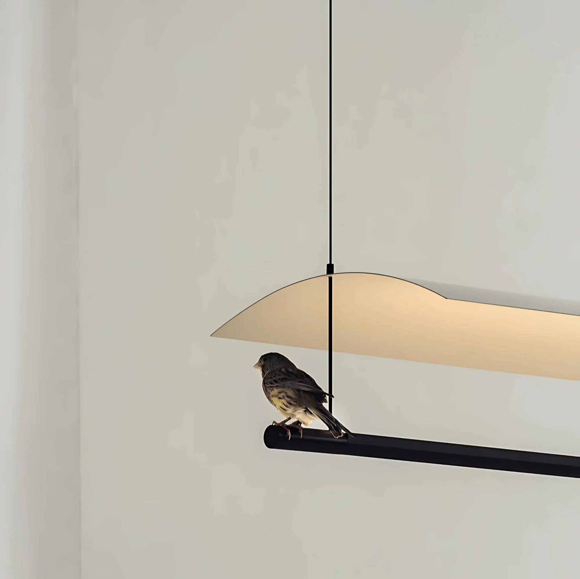 Selene pendant light